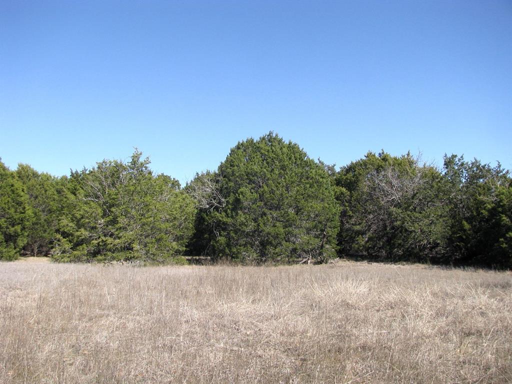 Lot 39-ph Private Road 42103 Evant, TX 76525 - Photo 11 of 17 a view of a dry yard with trees in the background