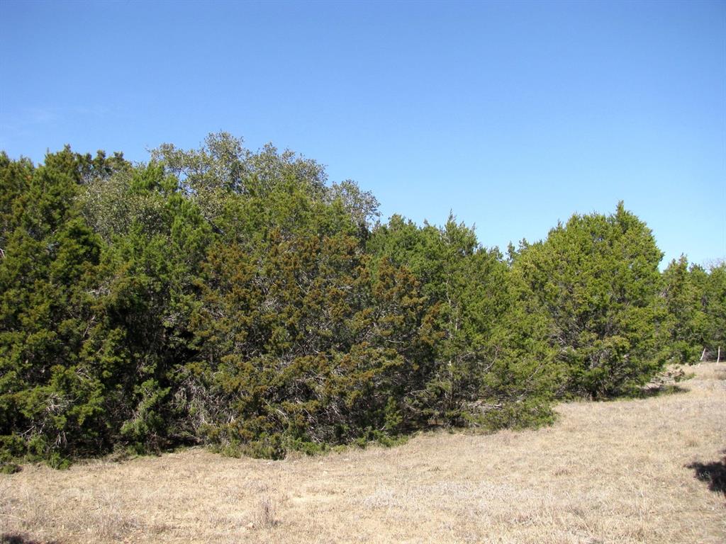 Lot 39-ph Private Road 42103 Evant, TX 76525 - Photo 14 of 17 a view of a yard covered with snow in front of house