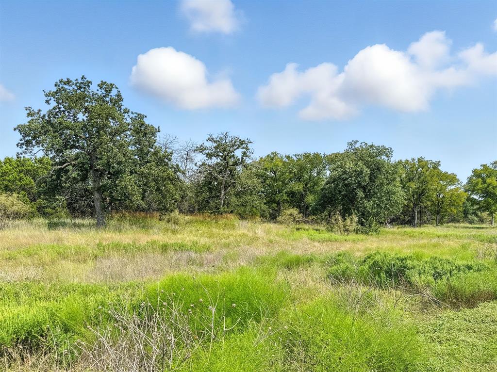 Lot 39-ph Private Road 42103 Evant, TX 76525 - Photo 2 of 17 a view of outdoor space and yard