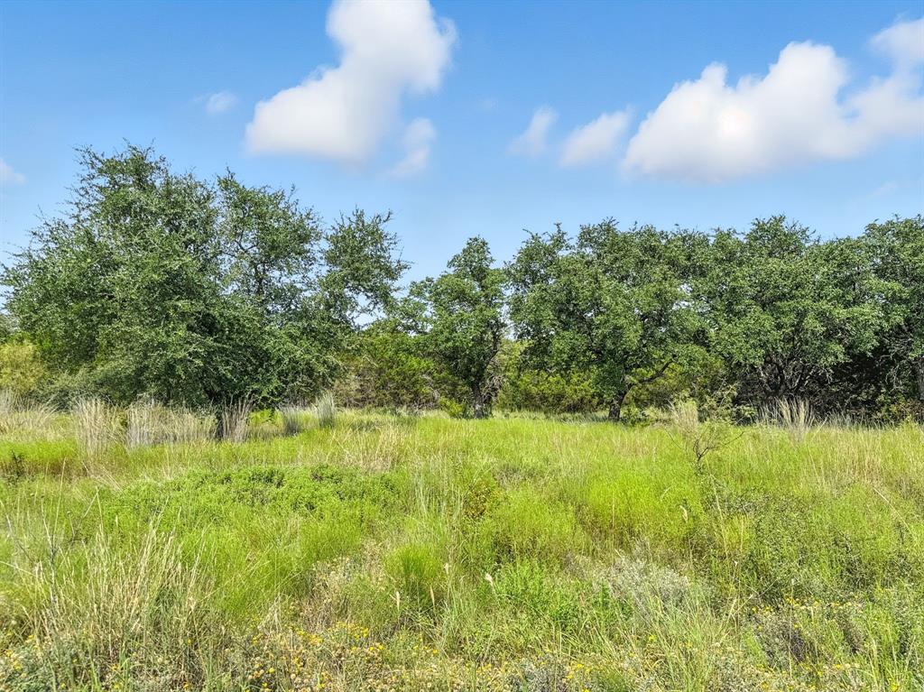 Lot 39-ph Private Road 42103 Evant, TX 76525 - Photo 5 of 17 a backyard of a house with lots of green space