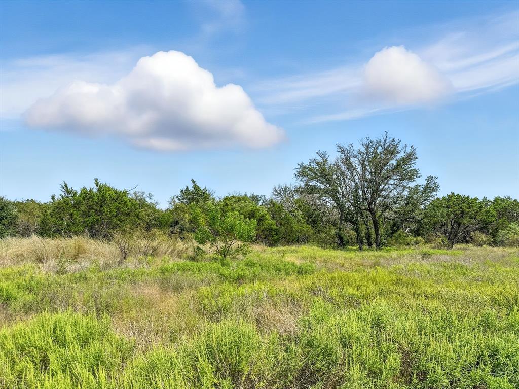 Lot 39-ph Private Road 42103 Evant, TX 76525 - Photo 6 of 17 a view of a big yard with potted plants and large tree