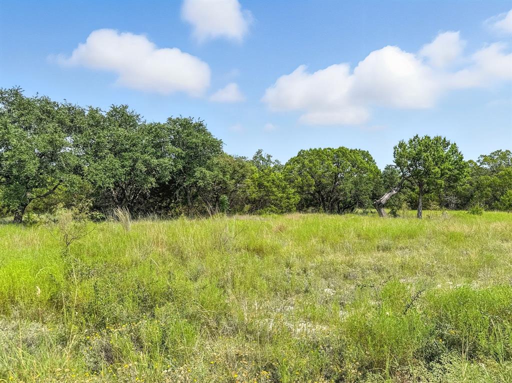 Lot 39-ph Private Road 42103 Evant, TX 76525 - Photo 7 of 17 a view of a yard