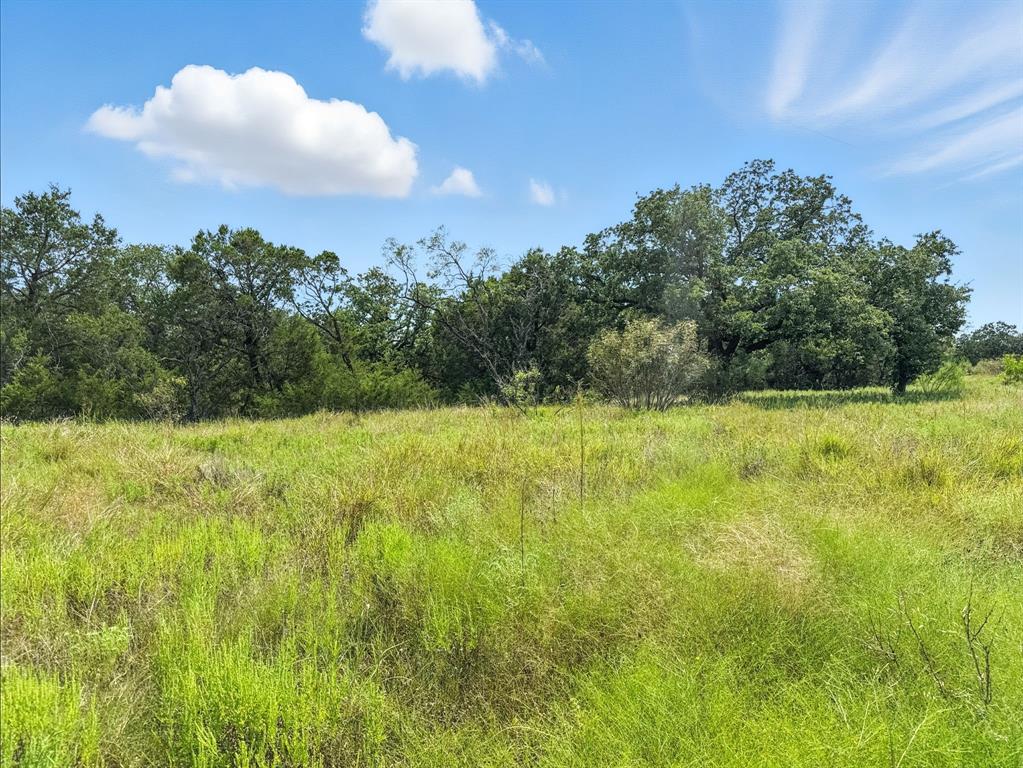 Lot 39-ph Private Road 42103 Evant, TX 76525 - Photo 9 of 17 a view of a garden