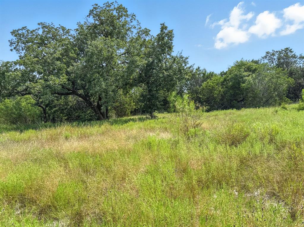 Lot 39-ph Private Road 42103 Evant, TX 76525 - Photo 10 of 17 a view of yard with green space