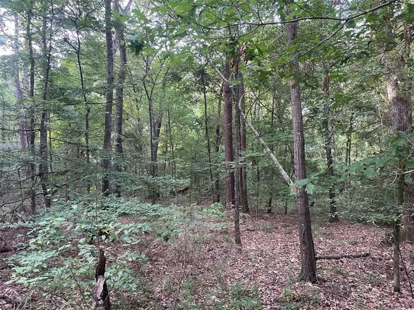 $395,000 | Tbd Tbd Fm-16, Winona, TX 75792
