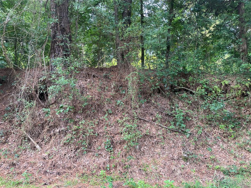 Tbd Tbd Fm-16 Winona, TX 75792 - Photo 4 of 16