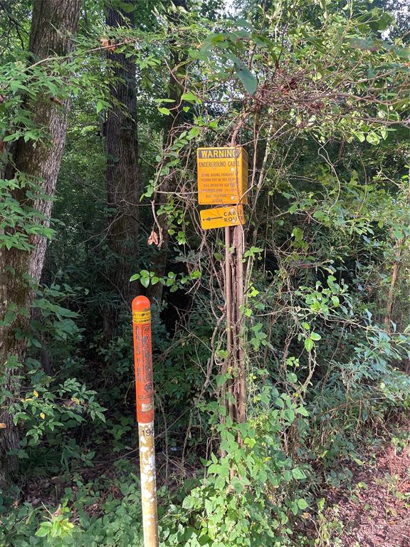 Tbd Tbd Fm-16 Winona, TX 75792 - Photo 7 of 16