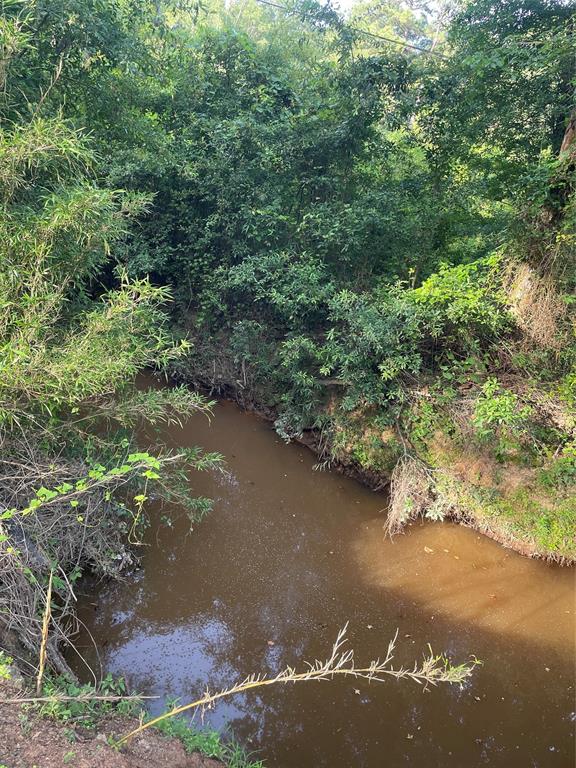 Tbd Tbd Fm-16 Winona, TX 75792 - Photo 8 of 16