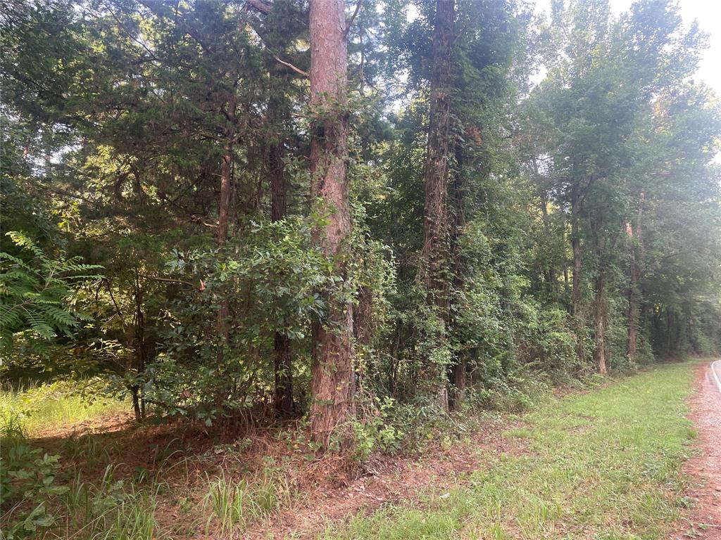 Tbd Tbd Fm-16 Winona, TX 75792 - Photo 10 of 16
