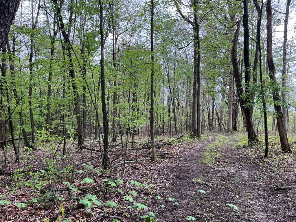 Sandy Ridge Road Tippecanoe, OH 44699 - Photo 10 of 21