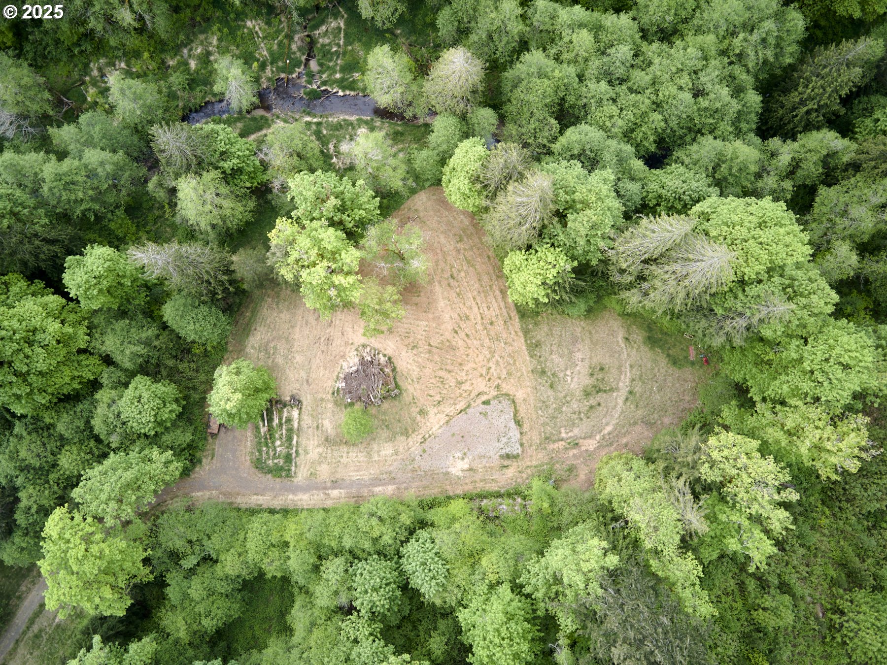 a view of a garden with a fountain