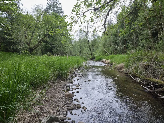 a big yard with lots of green space and deers
