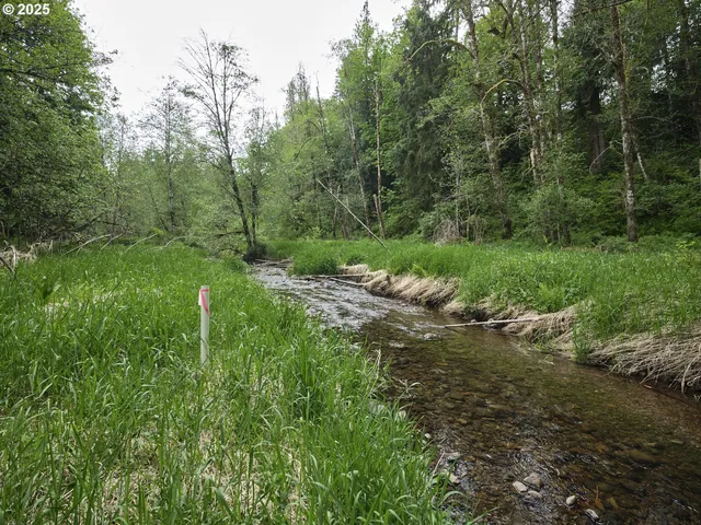a big yard with lots of green space and deers