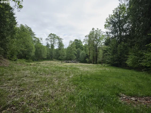 a view of a grassy field with trees in the background
