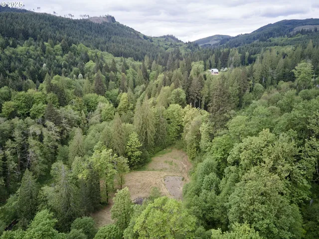 an aerial view of forest