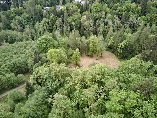 an aerial view of residential house with outdoor space and trees all around