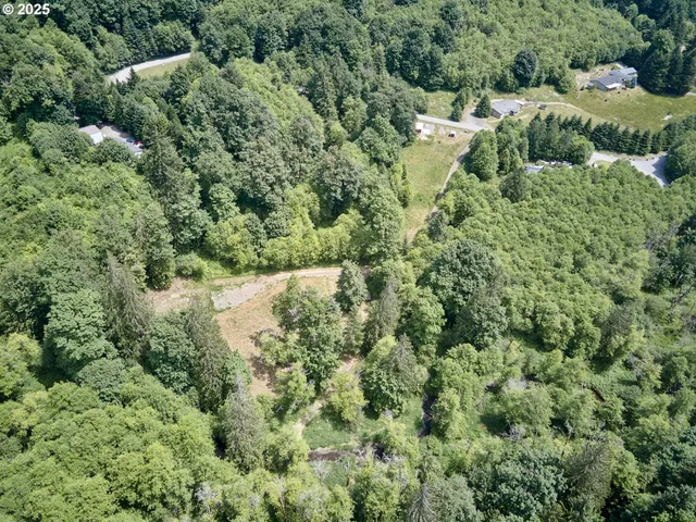 an aerial view of residential house with outdoor space and trees all around