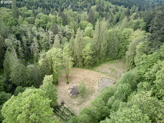 an aerial view of a forest with houses