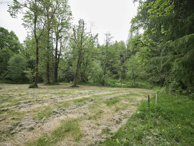 a view of outdoor space with trees all around