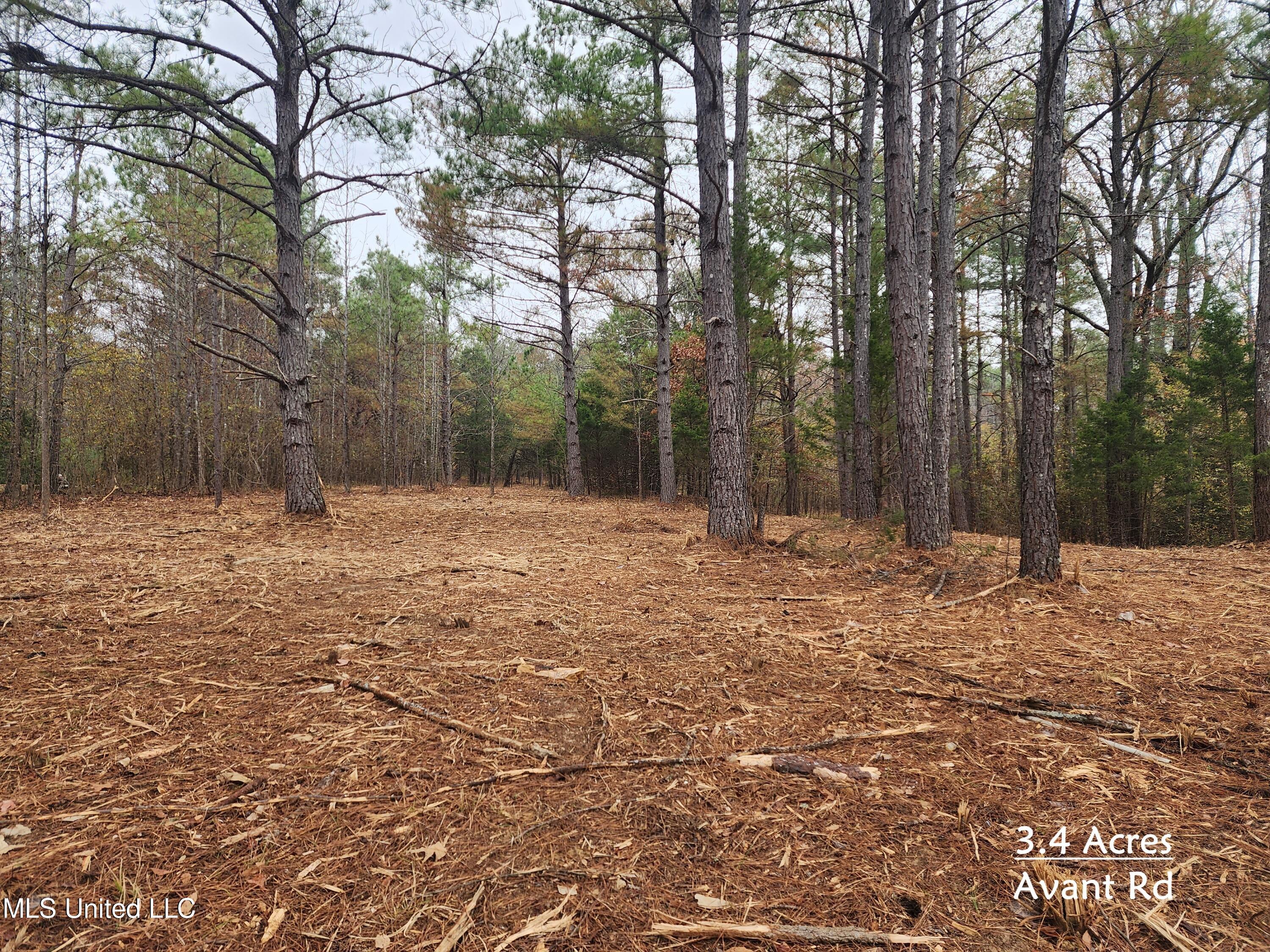 Avant Road Holly Springs, MS 38635 - Photo 1 of 18 p1