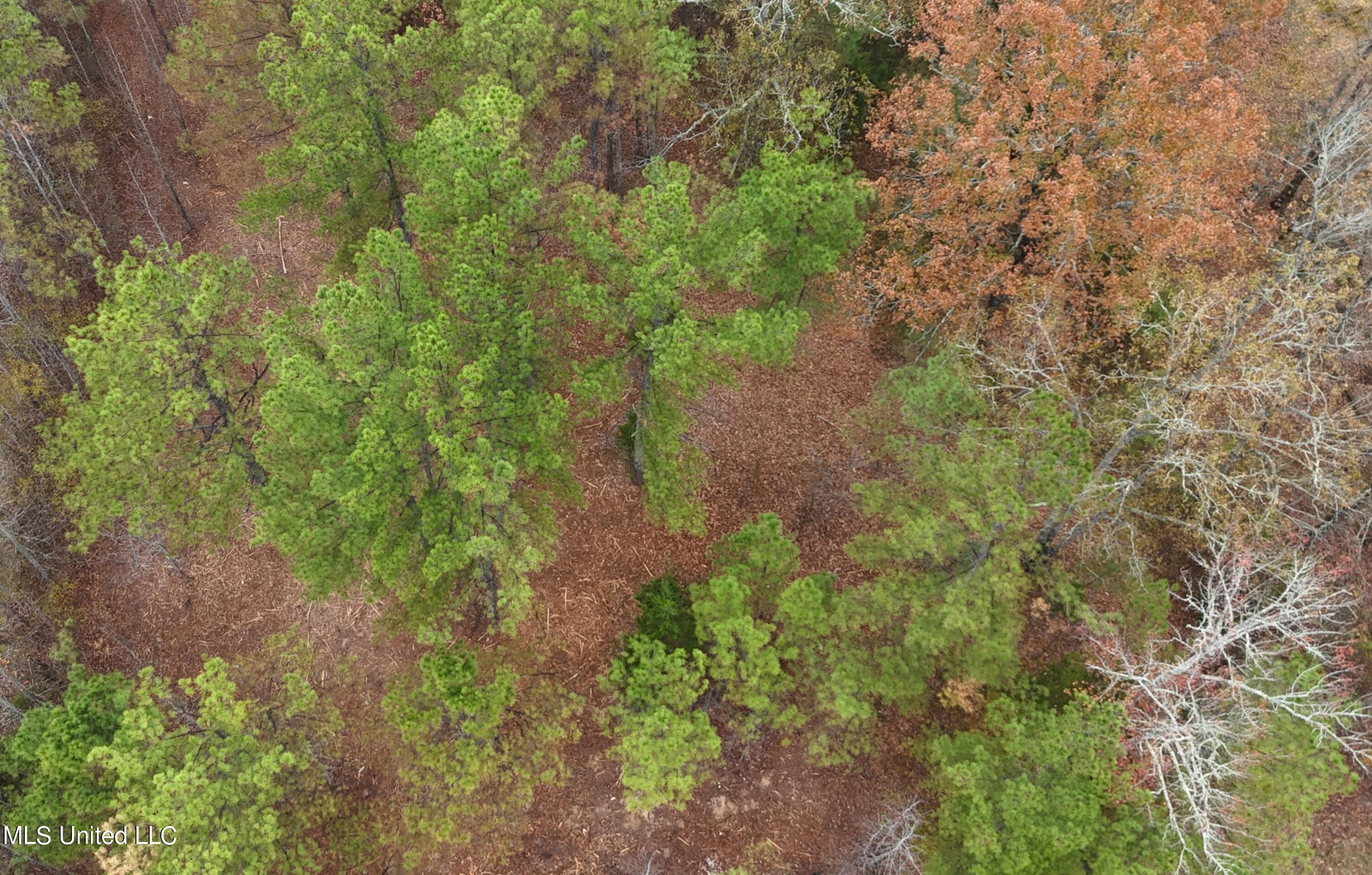 Avant Road Holly Springs, MS 38635 - Photo 13 of 18 1