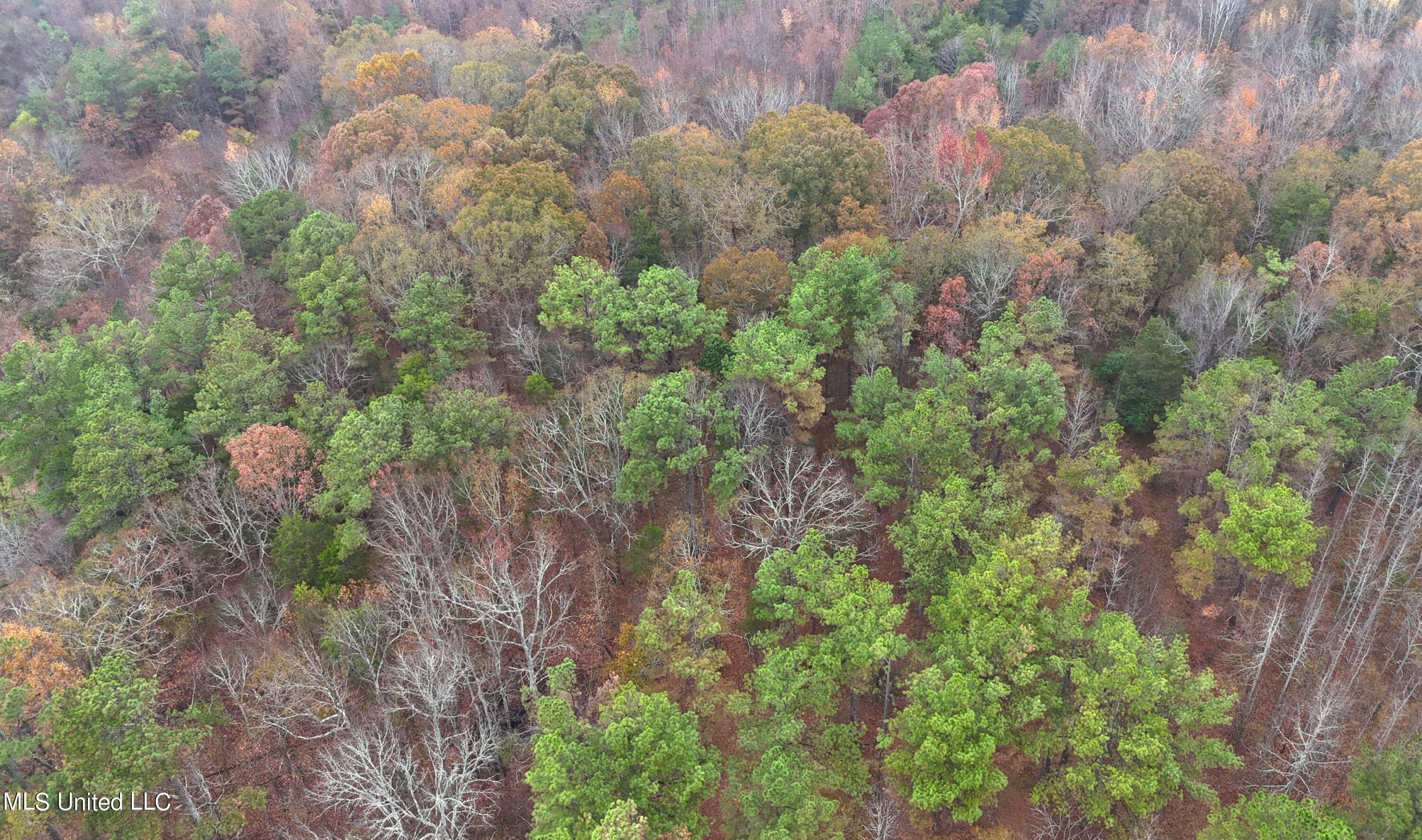 Avant Road Holly Springs, MS 38635 - Photo 15 of 18 4