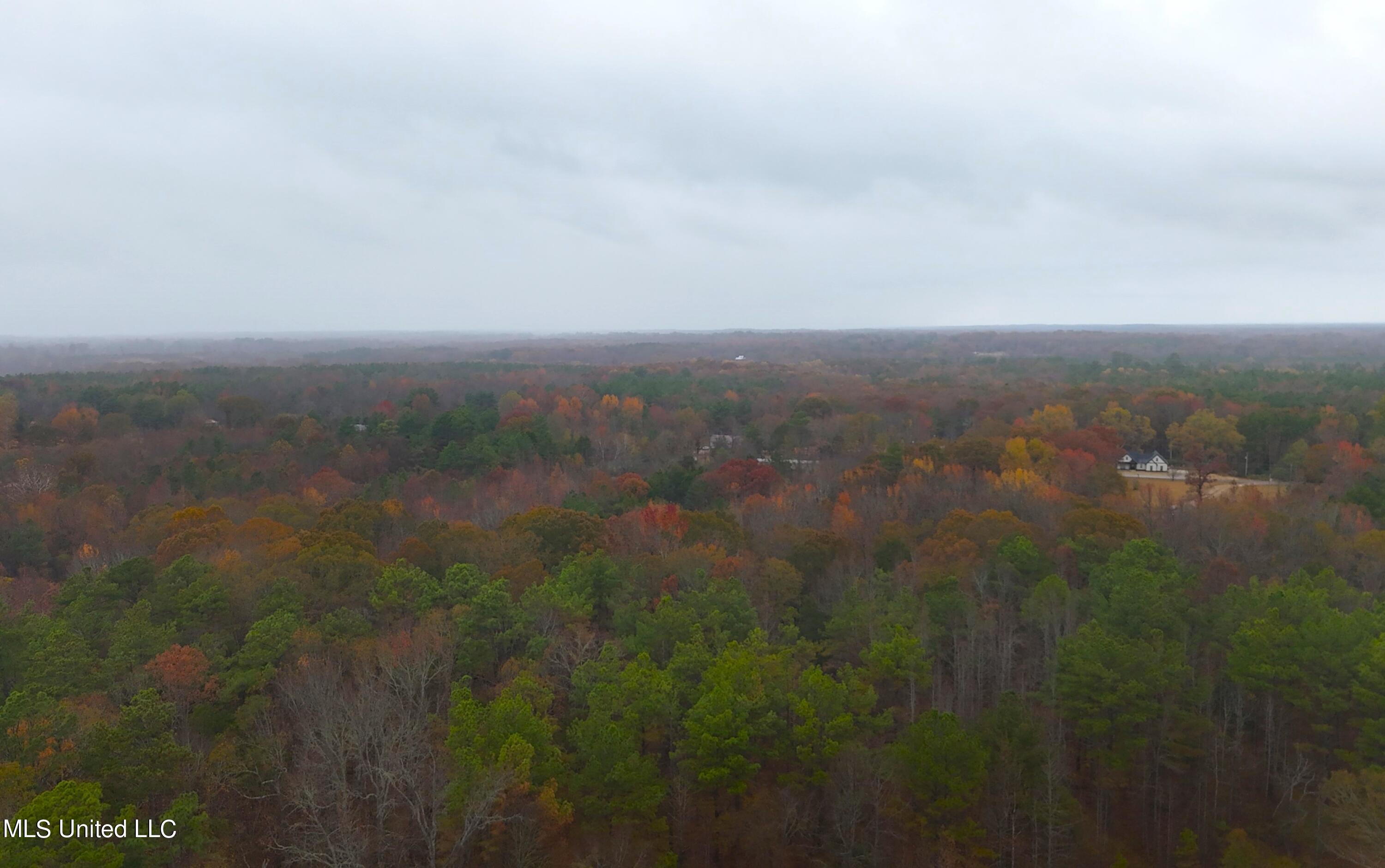 Avant Road Holly Springs, MS 38635 - Photo 16 of 18 DJI_20231115130122_0040_D