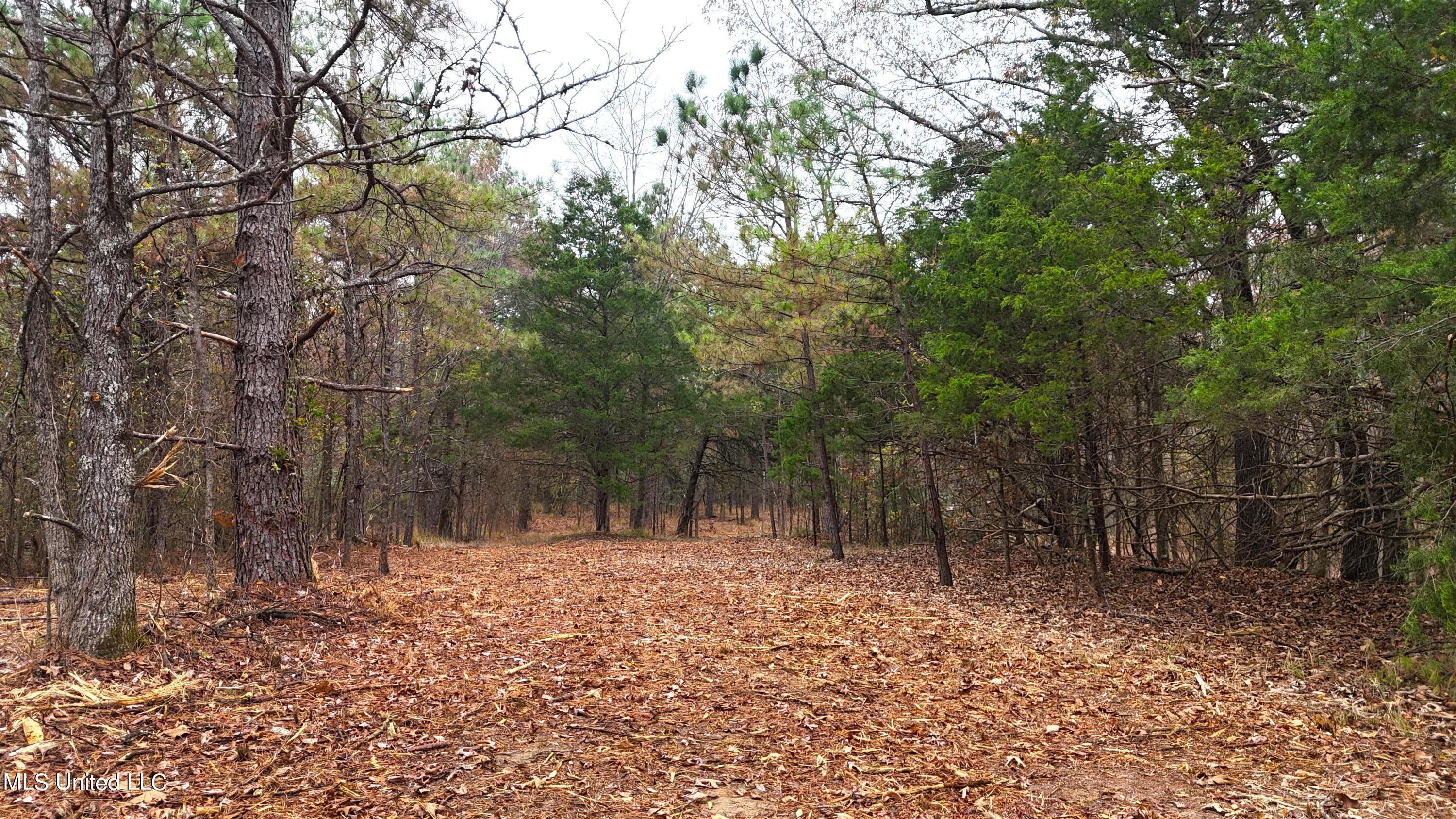Avant Road Holly Springs, MS 38635 - Photo 5 of 18 DJI_20231115125441_0023_D