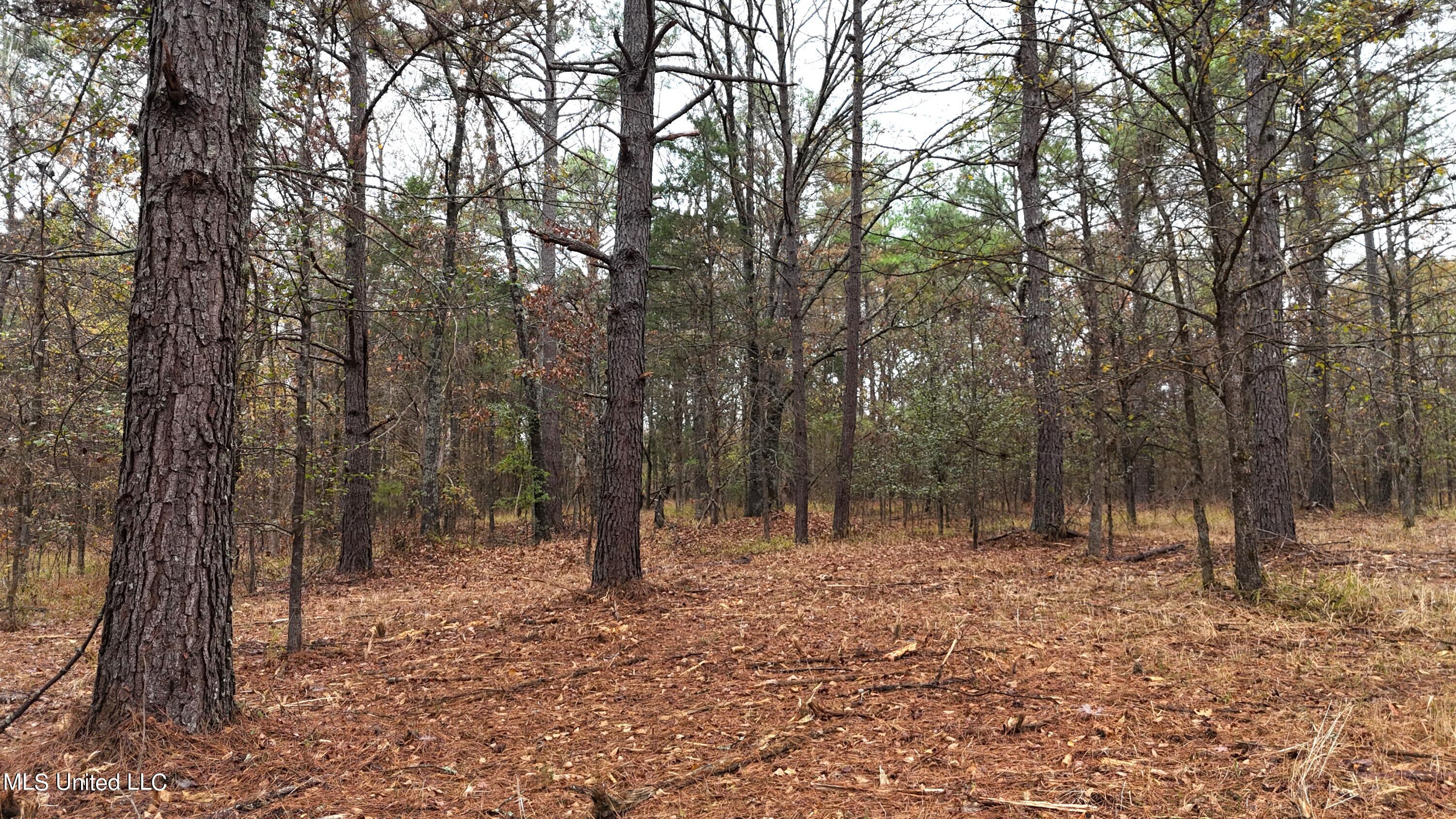 Avant Road Holly Springs, MS 38635 - Photo 7 of 18 DJI_20231115125746_0034_D