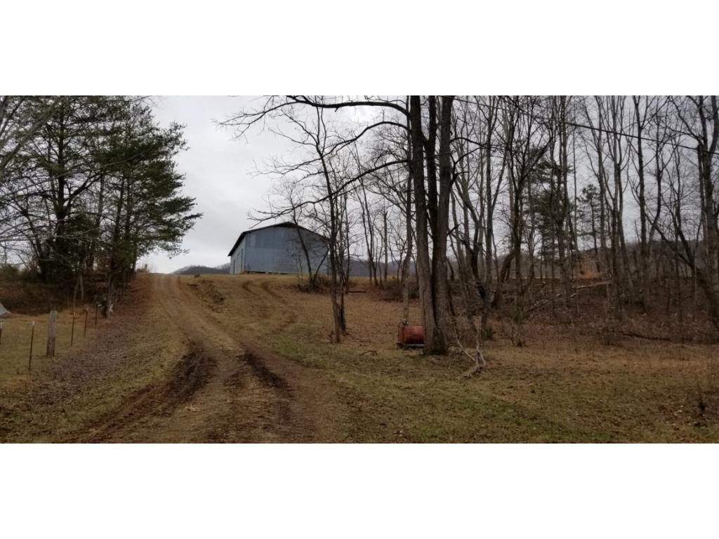 Tr1 Bearfield Road Chuckey, TN 37641 - Photo 6 of 8 Photo 6