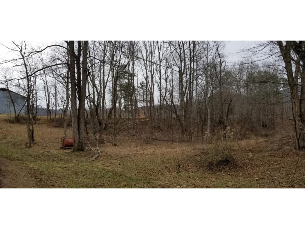 Tr1 Bearfield Road Chuckey, TN 37641 - Photo 7 of 8 Photo 7