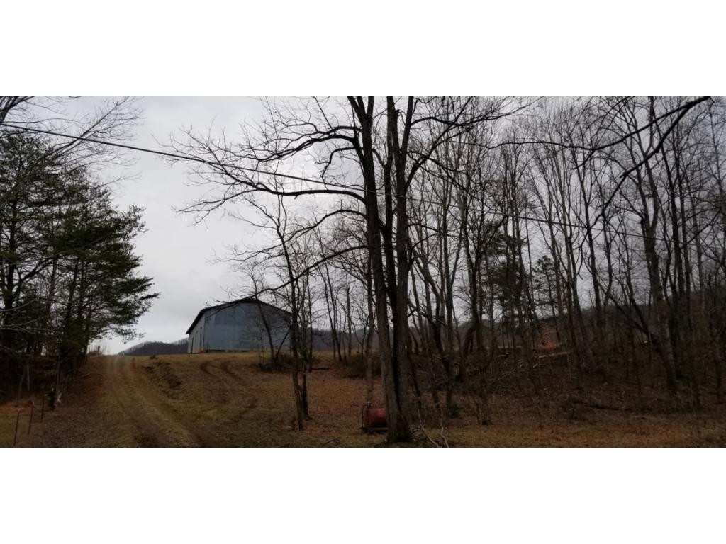 Tr1 Bearfield Road Chuckey, TN 37641 - Photo 8 of 8 Photo 8