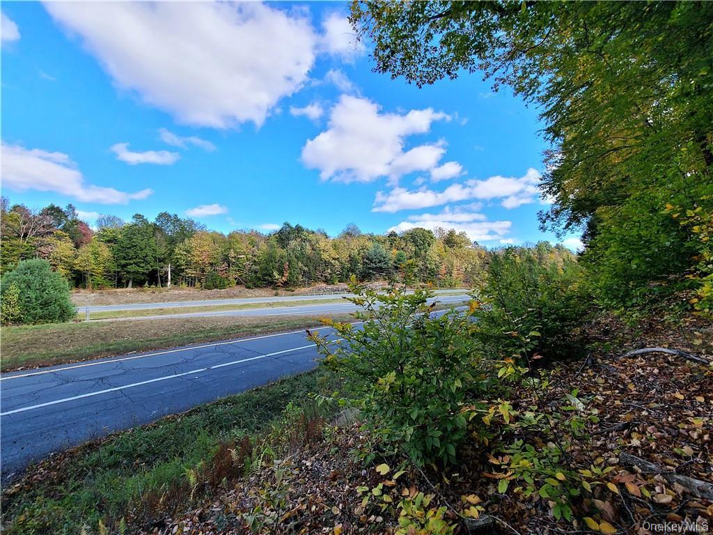 Lot 5.4 Kaufman Road Monticello, NY 12701 - Photo 7 of 45