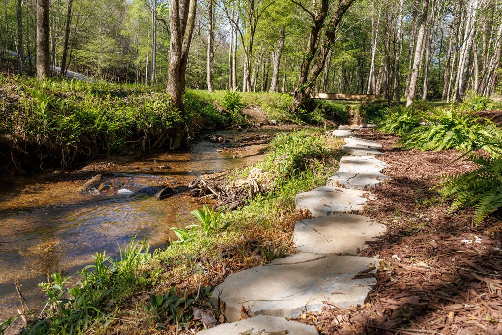 342 Hunter Ridge Murphy, NC 28906 - Photo 27 of 81 Creekside footpath