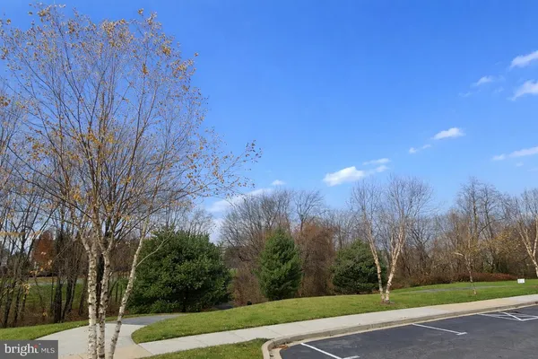 a view of park with entertaining space