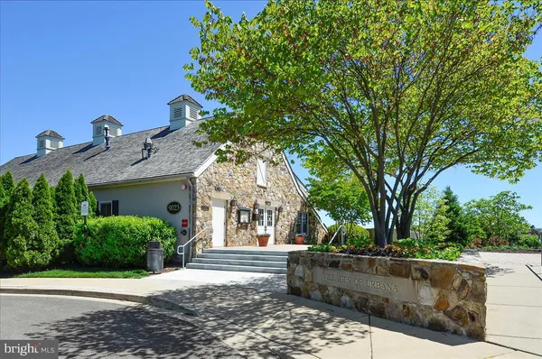 a view of a swimming pool with a yard