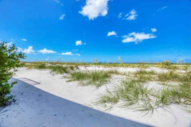 a front view of a house with a yard and potted plants