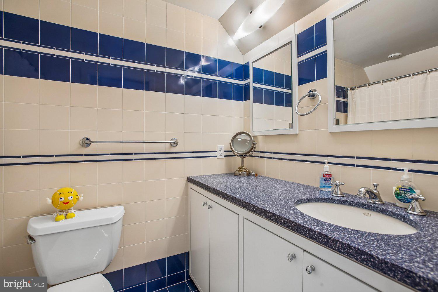 700 Belgrove Road McLean, VA 22101 - Photo 50 of 86 Bath #2