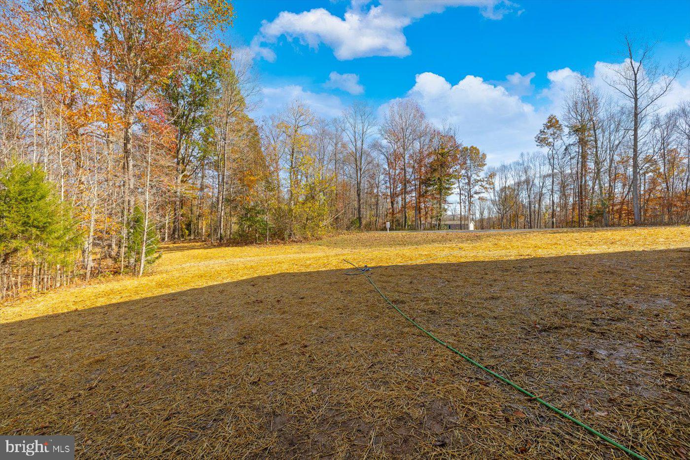 9091 Basil Road King George, VA 22485 - Photo 39 of 46 Gallery Image 39