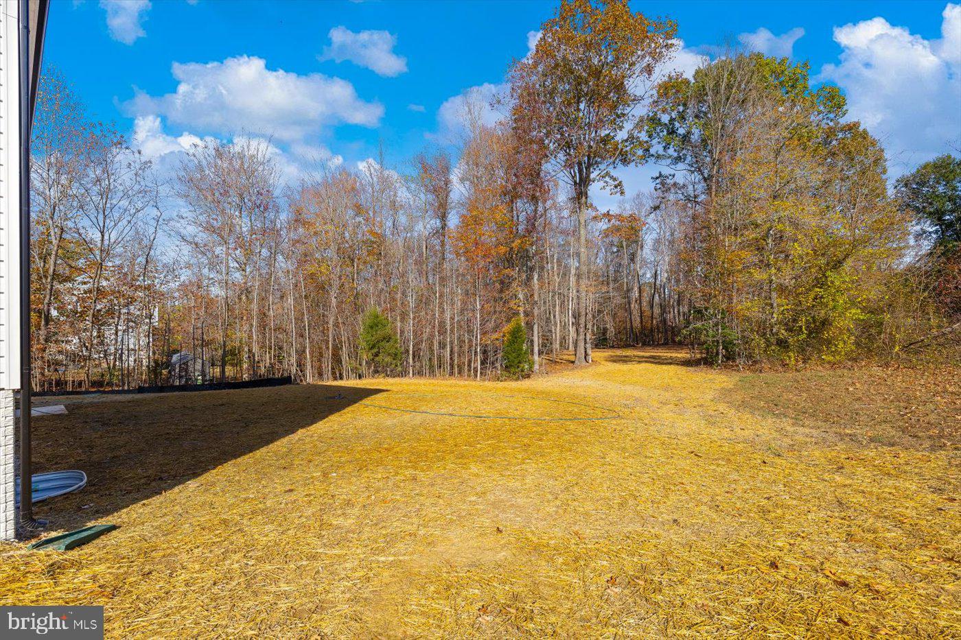 9091 Basil Road King George, VA 22485 - Photo 44 of 46 Gallery Image 44