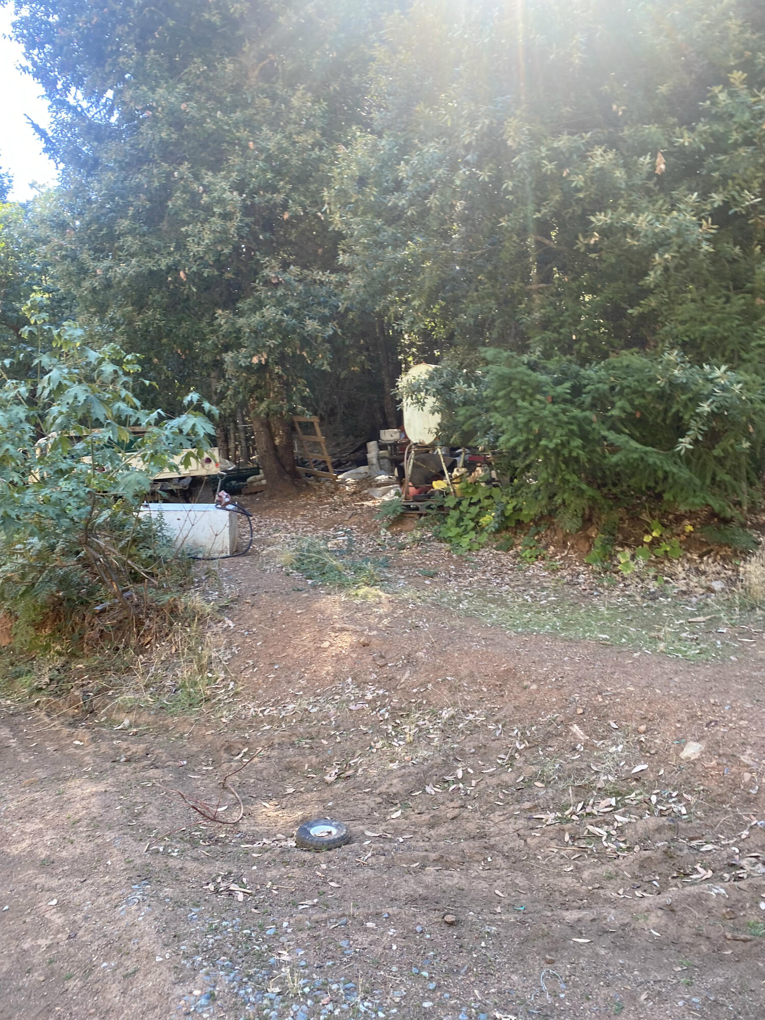 1780 Mcdonald Creek Road Burnt Ranch, CA 95527 - Photo 6 of 58