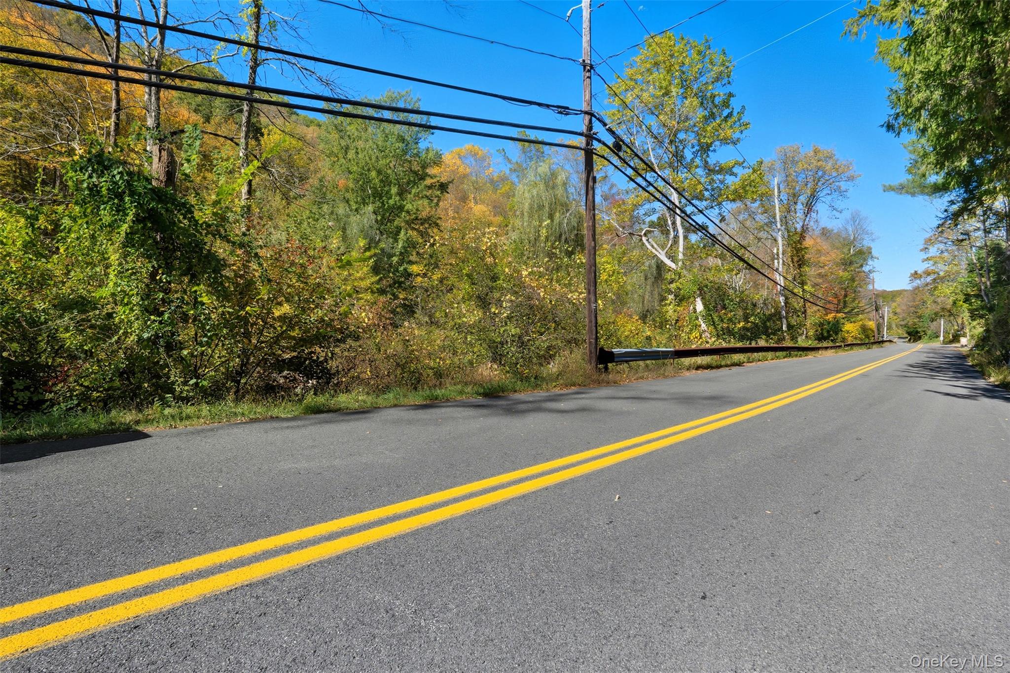 Wiccopee Road Putnam Valley, NY 10579 - Photo 12 of 16 View of asphalt road with a forest view