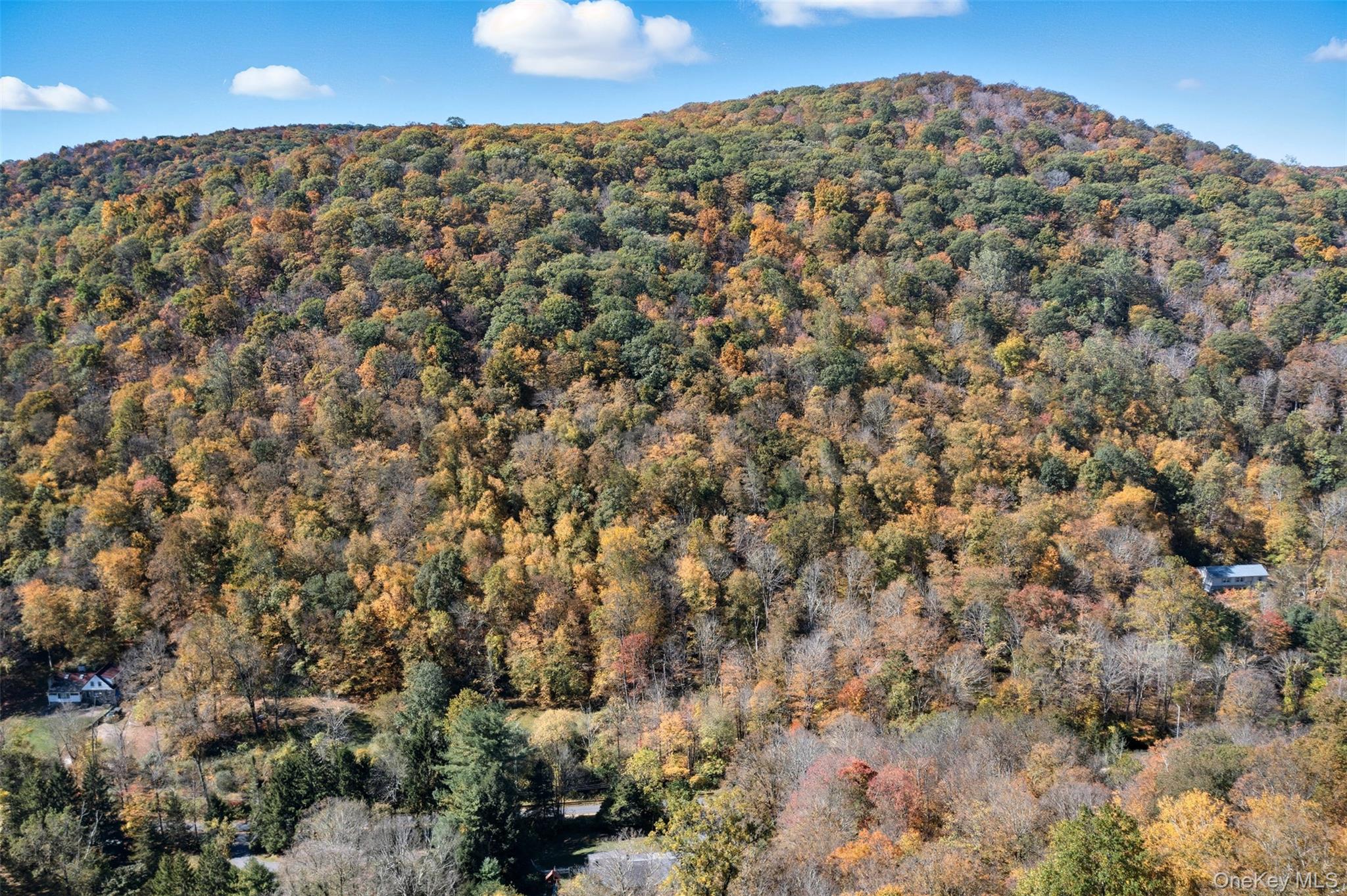 Wiccopee Road Putnam Valley, NY 10579 - Photo 2 of 16 View of mountain background