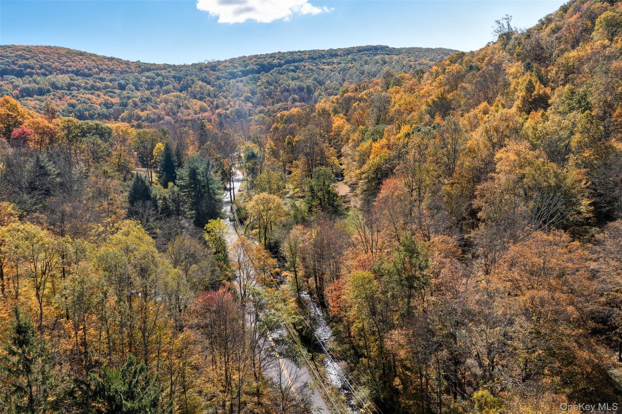 Wiccopee Road Putnam Valley, NY 10579 - Photo 10 of 16 View of mountain background