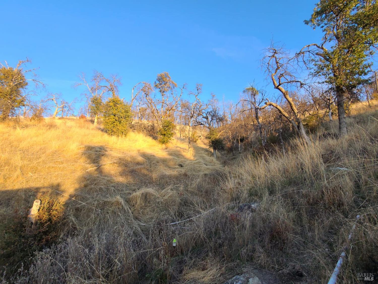 27180 Mendocino Pass Road Covelo, CA 95428 - Photo 13 of 34