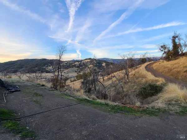 a view of a backyard with wooden fence