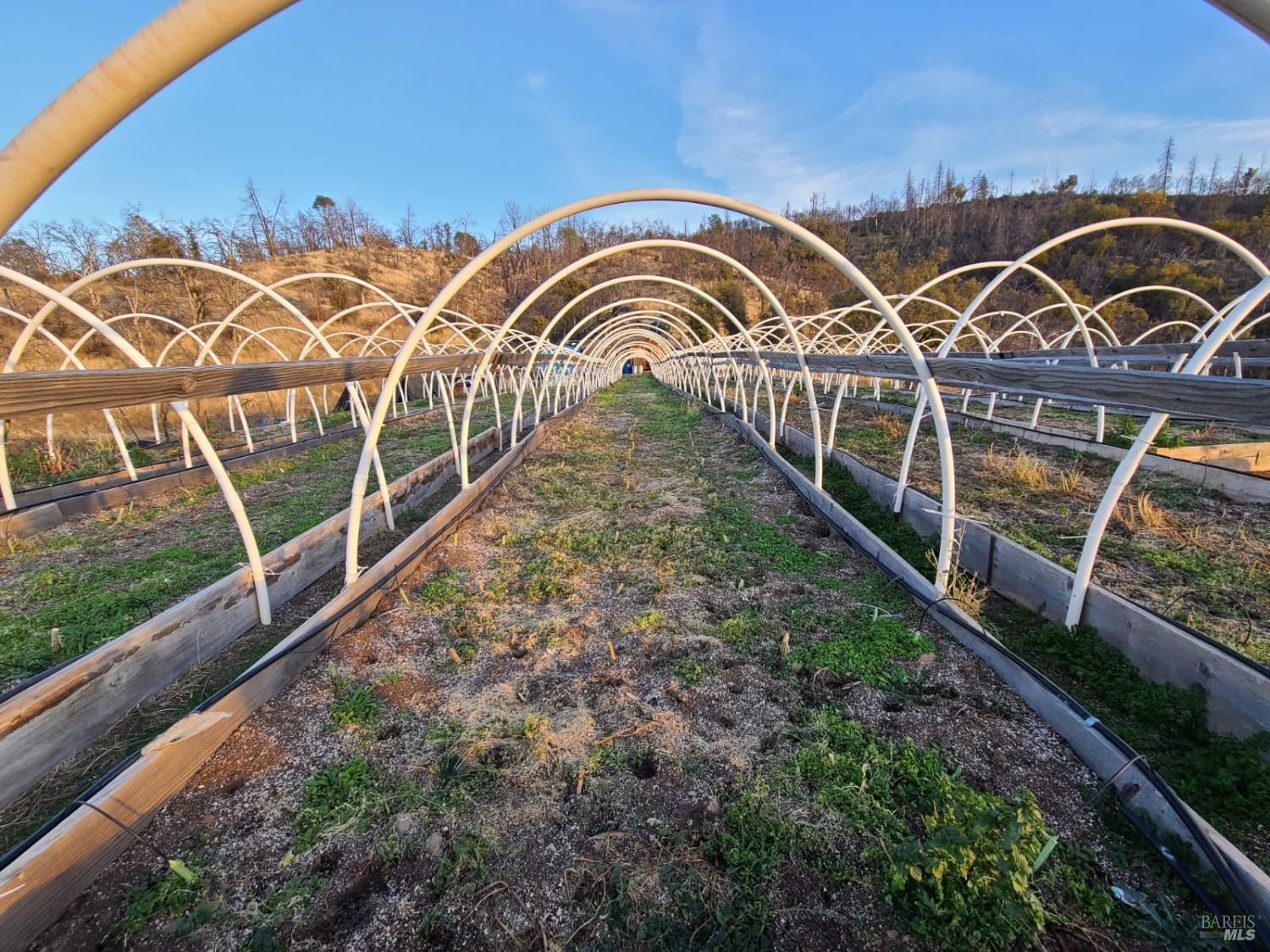 27180 Mendocino Pass Road Covelo, CA 95428 - Photo 9 of 34