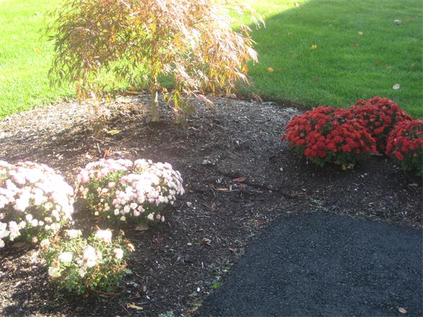 11 Bella Road Sharon, MA 02067 - Photo 13 of 15 Gallery Image 13