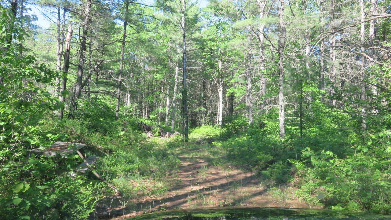 Lot 5 Shadow Lake Road Manitowish Waters, WI 54545 - Photo 13 of 18 Gallery Image 13