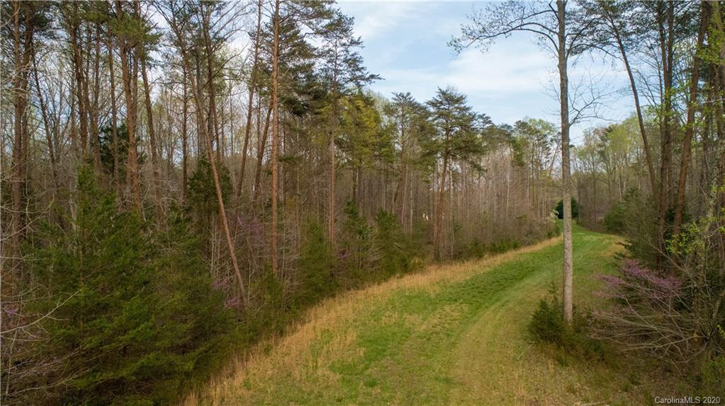 -59.76 Ac Jim McCarter Road York, SC 29745 - Photo 16 of 48 Gallery Image 16